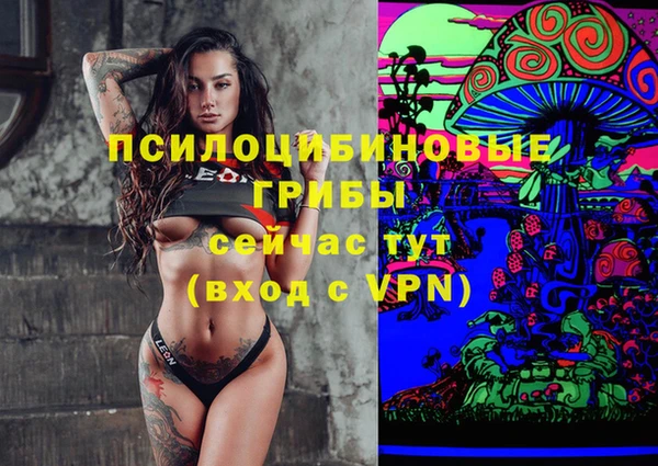 молекула духа Арсеньев
