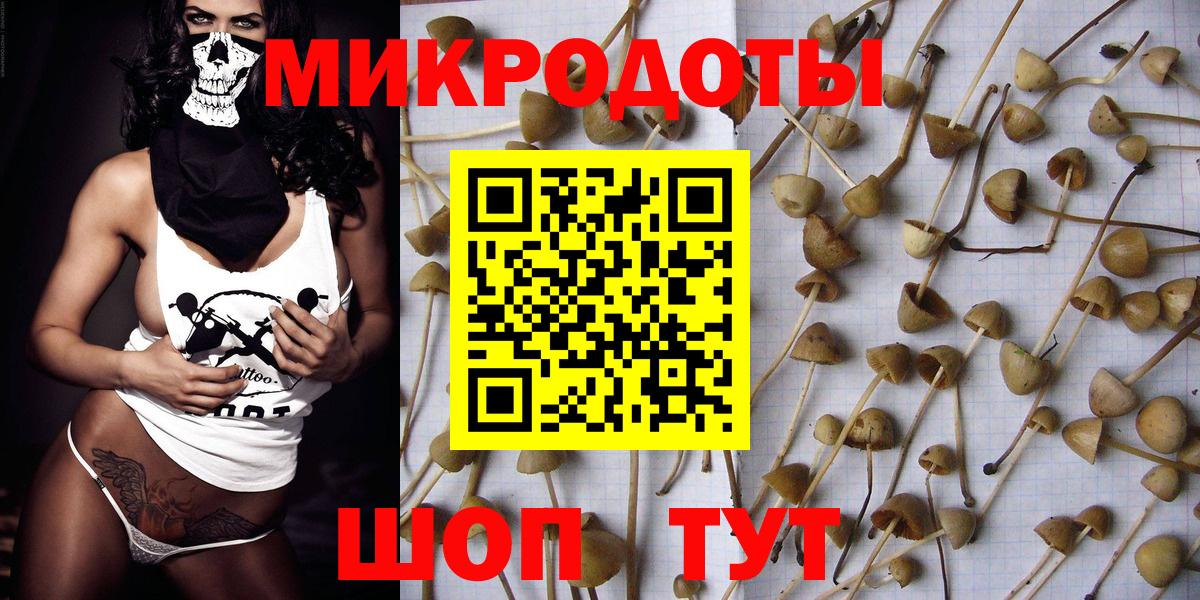 Галлюциногенные грибы Psilocybine cubensis  Вход с VPN  Киреевск 