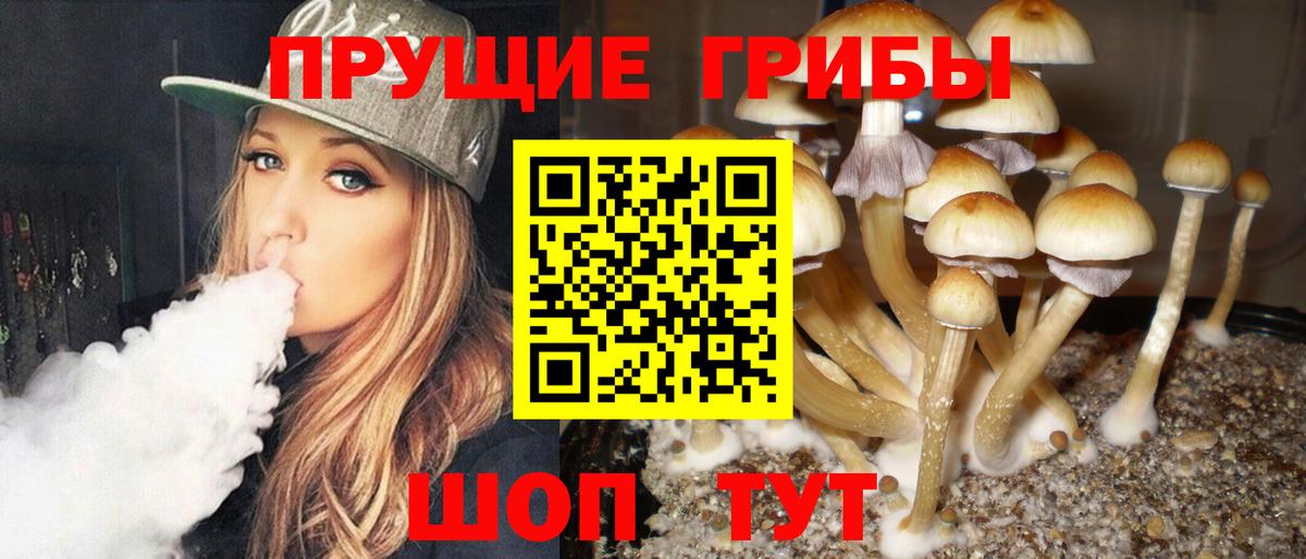 Псилоцибиновые грибы Cubensis Киреевск